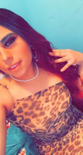 8044088068, transgender escort, Richmond