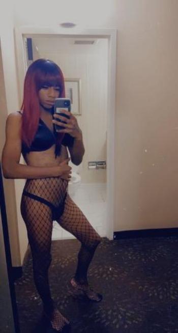 8043625865, transgender escort, Richmond